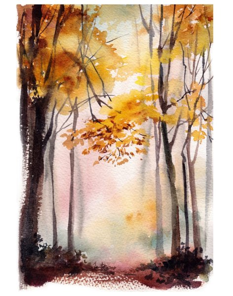 Художник акварелист осенний лес