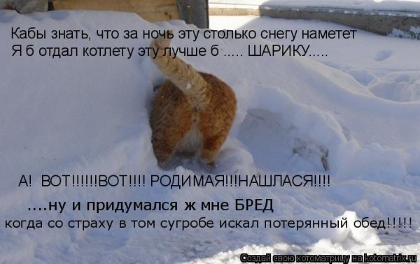 Намело много снега прикол