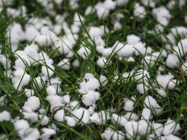 Град в Грузии вчера