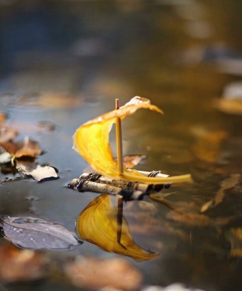 Осенние кораблики