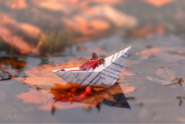 Осенние кораблики