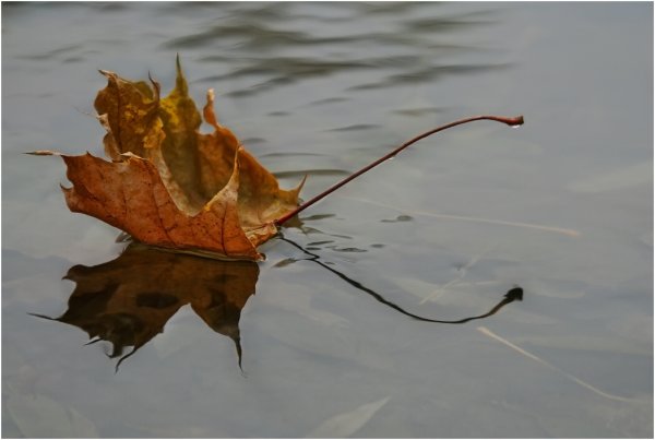 Осенние кораблики