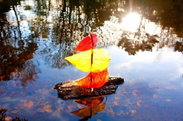 Кораблик из листьев в луже