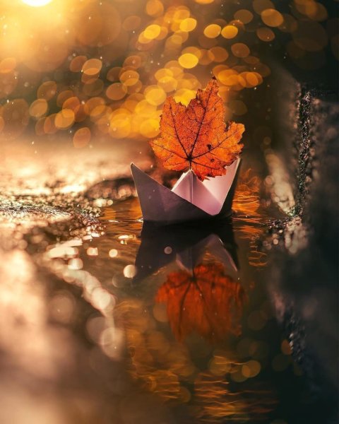 Осенние чудеса