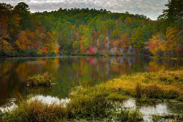 Осенний лес с озером