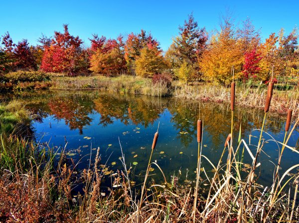 Осеннее озеро