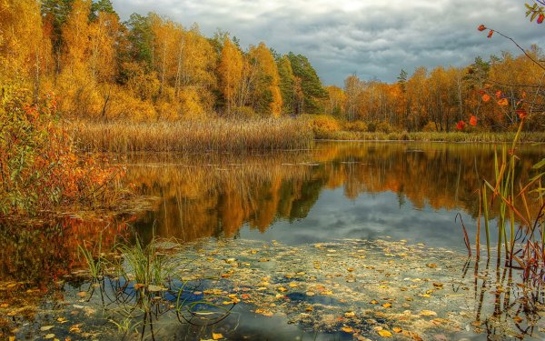 Осеннее озеро