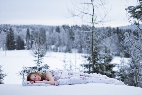 Спит в снегу