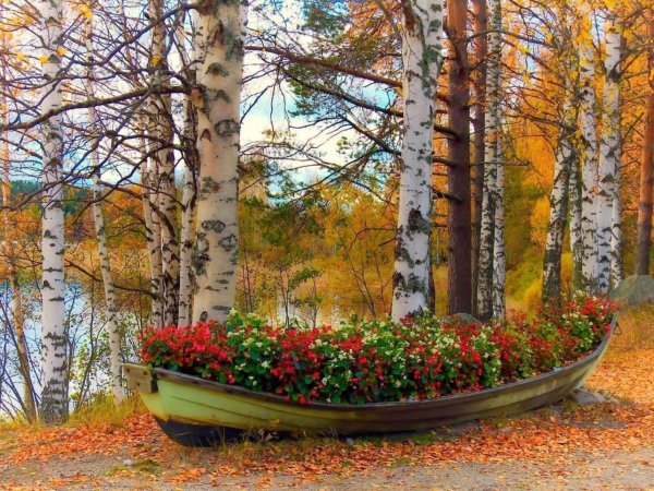 Осенняя пора, очей очарован