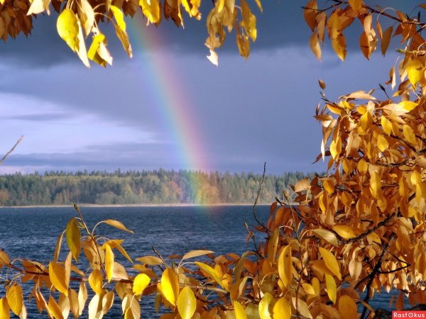 Осень очей очарованье