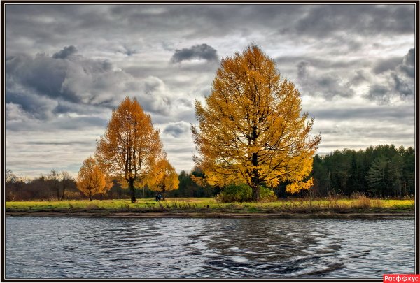 Осень унылая пора