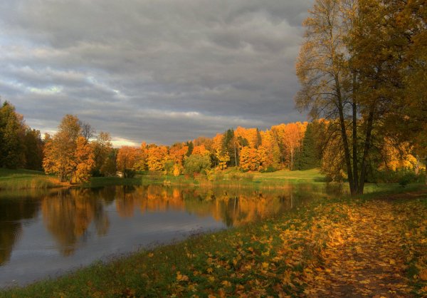 Тихая Золотая осень