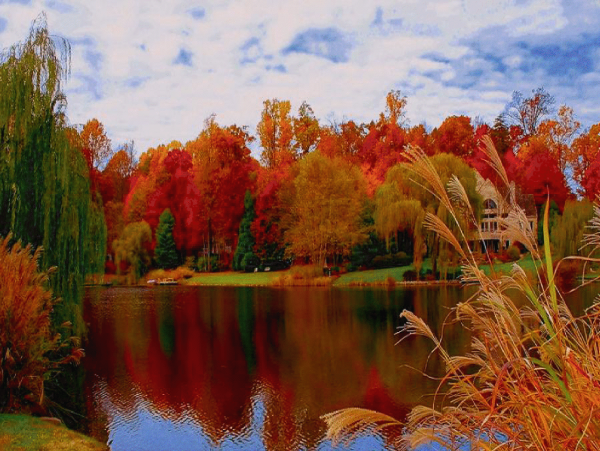 Осень прекрасная пора