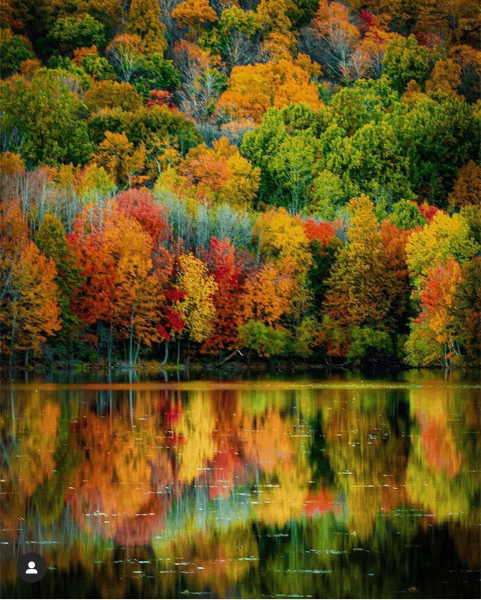 Осенняя пора