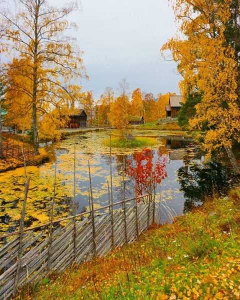 Пушкин осенняя пора очей очарованье