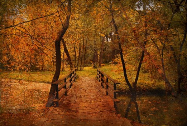 Унылая осень