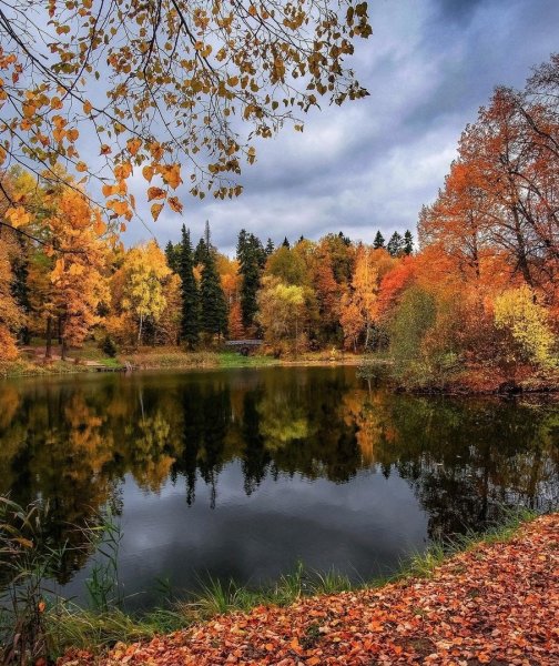 Осенний пейзаж