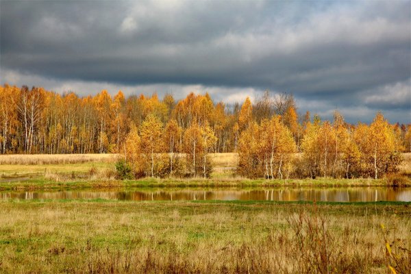 Унылая осень