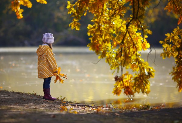 Осень грустная пора