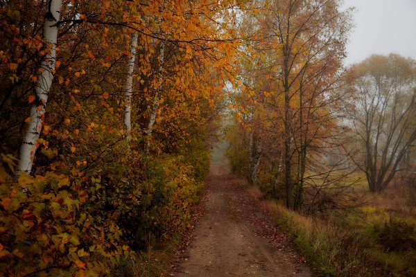 Унылая осень