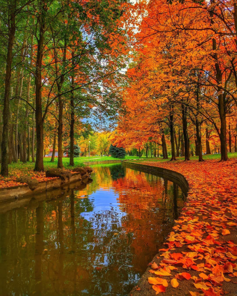 Осень прекрасная пора