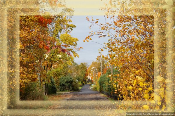 Осенняя пора рамка