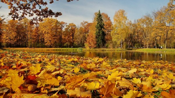 Осенняя пора очей очарованье фото