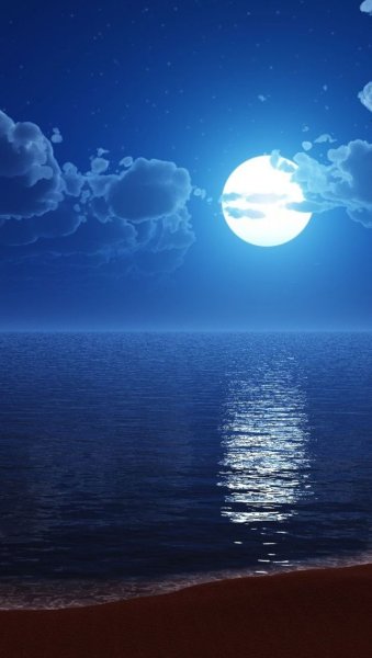 Звездное небо с полной луной