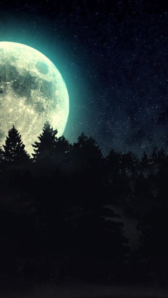 Звезда с неба