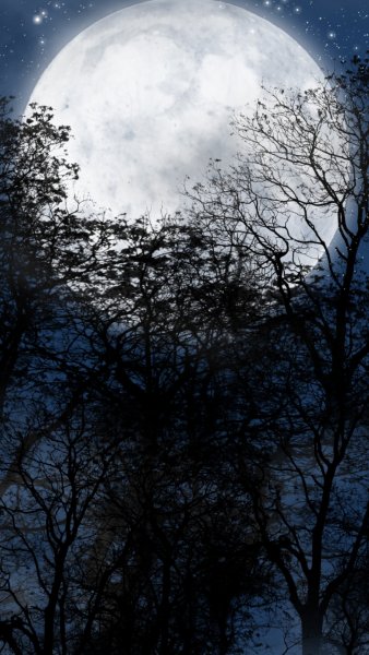 Большая Луна на дороге