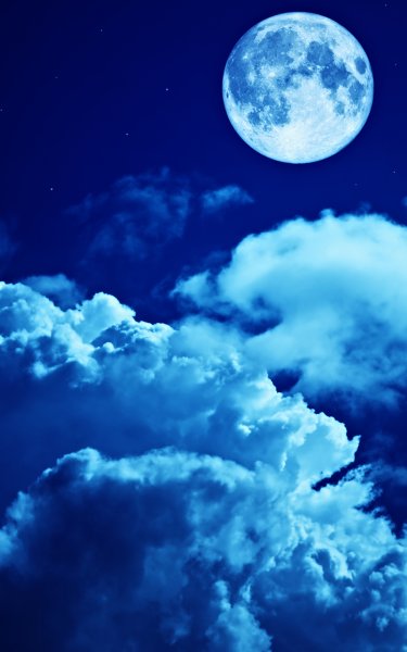 Лунная ночь над лесом