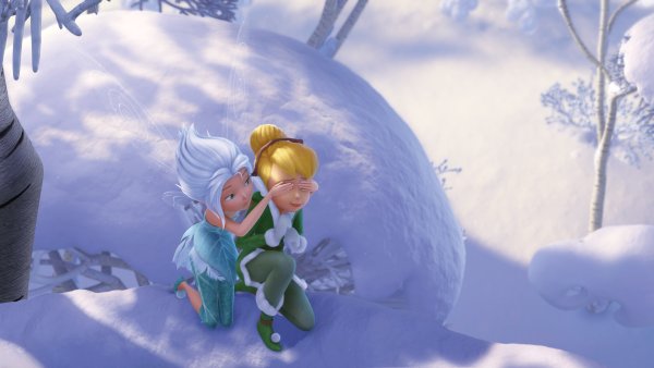 Феи тайна зимнего леса Фиона