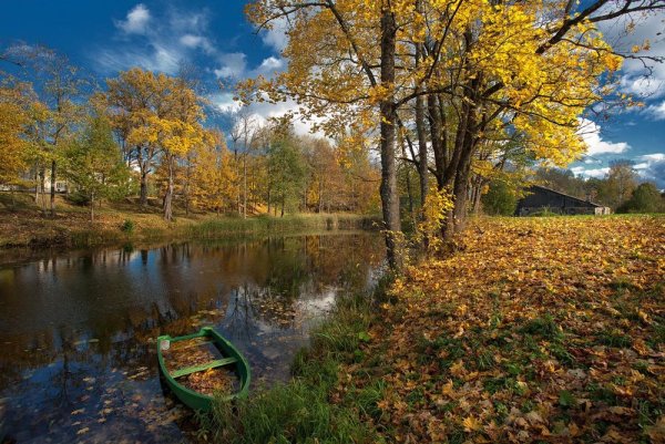 Ранняя осень