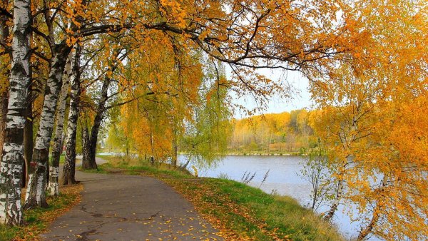 Природа в конце октября