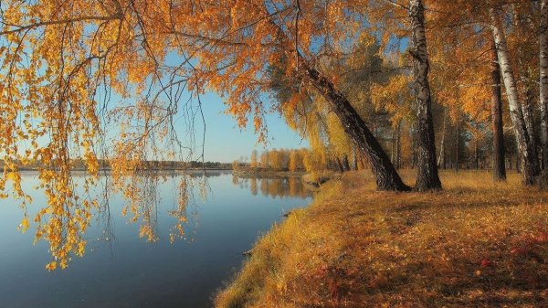 Чайковский осень октябрь