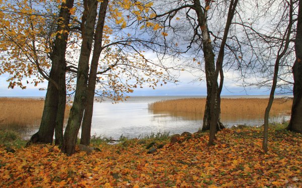 Поздняя осень