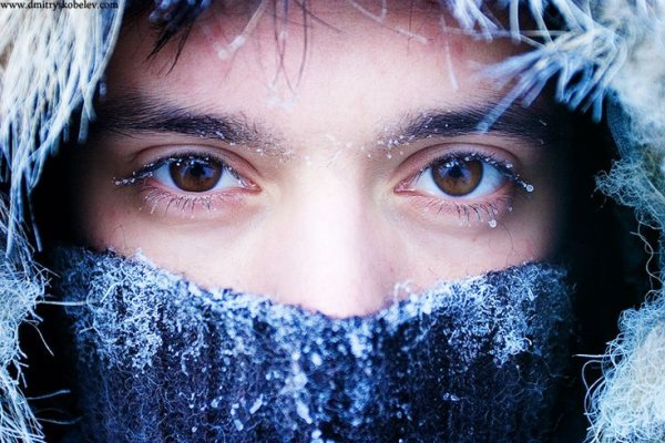 Холодный парень