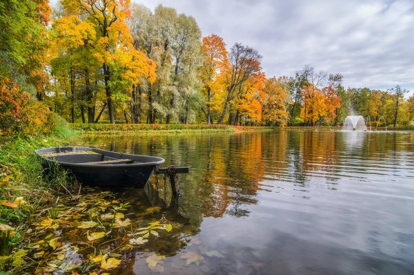 Осень пруд листья