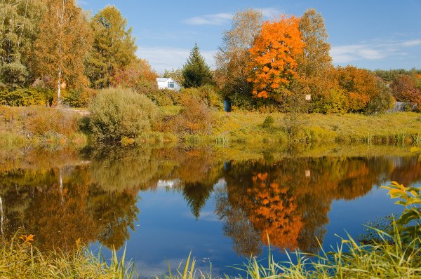 Осенний пейзаж с водоемом