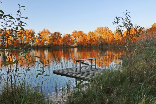 Осенний пруд