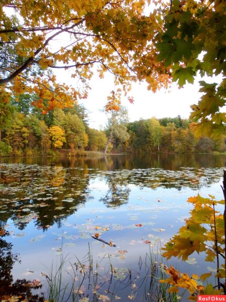 Водоемы осенью