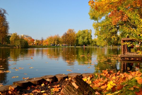 Красногорск пруды Золотая осень
