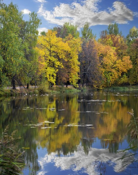 Осень озеро