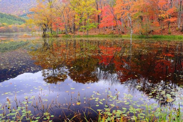 Осень озеро