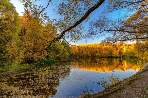 Водоемы осенью