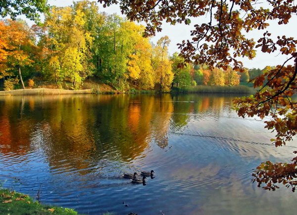 Водоемы осенью