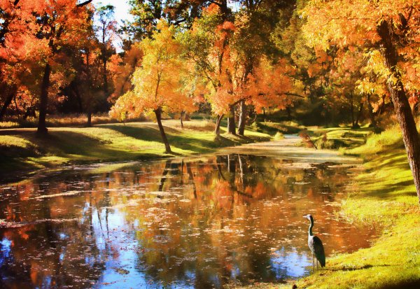 Осенний пейзаж в парке