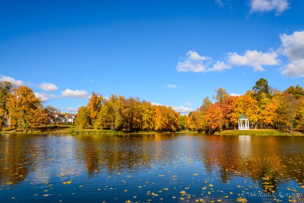 Осень парк пруд