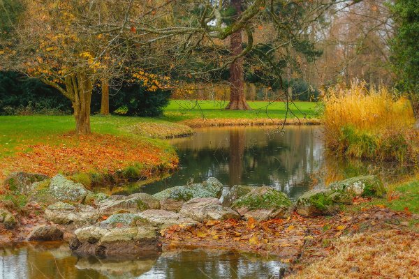 Осень в саду пруд