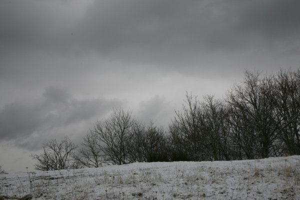 Пасмурная зима